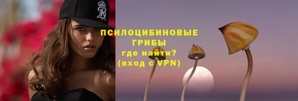 2c-b Надым