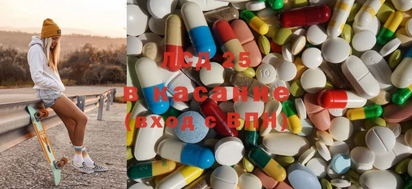 прущие грибы Абинск