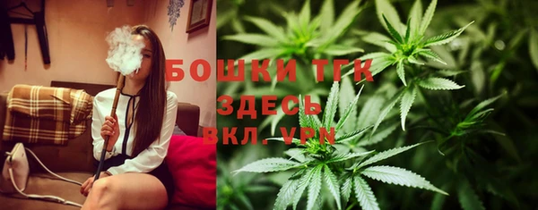 прущие грибы Абинск