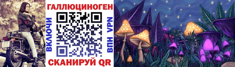 kraken как войти Щучье Псилоцибиновые грибы мухоморы